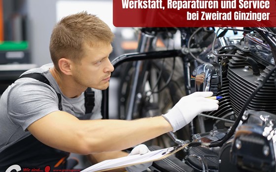 Gebrauchtmotorrad Aprilia Tuareg 660 - Bild 4