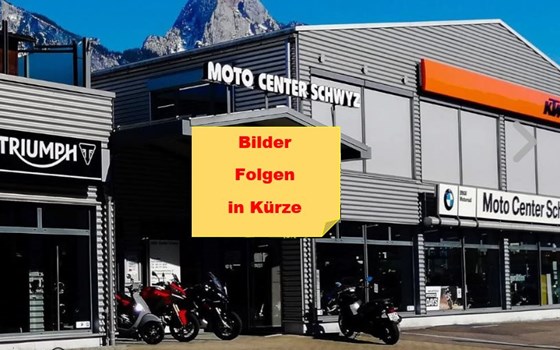 Motorrad Occasion Triumph Tiger 900 Rally Pro - Bild 1