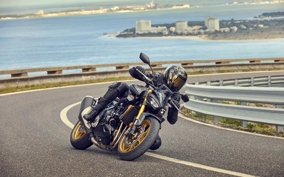 Gebrauchtmotorrad Honda CB1000 Hornet SP - Bild 2