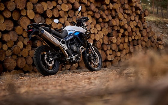 Neufahrzeug Triumph Tiger 900 Alpine Edition - Bild 11