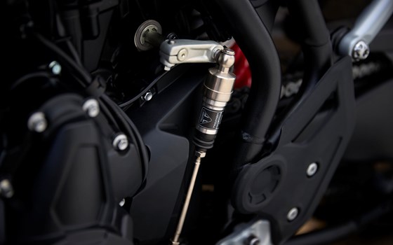 Neufahrzeug Triumph Tiger 900 Alpine Edition - Bild 13