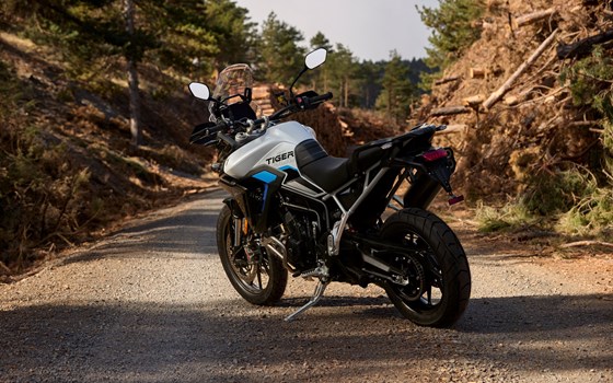Neufahrzeug Triumph Tiger 900 Alpine Edition - Bild 4