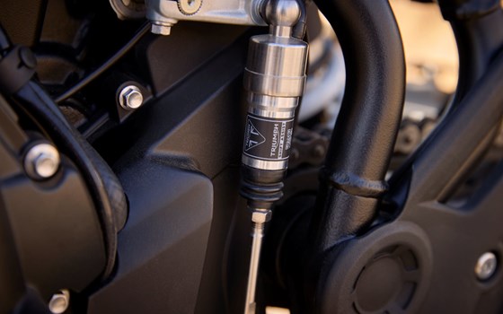 Neufahrzeug Triumph Tiger 900 Desert Edition - Bild 4