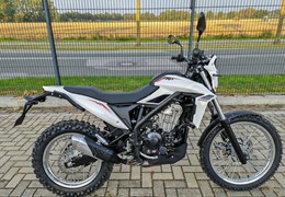 Neumotorrad Beta Alp 4.0