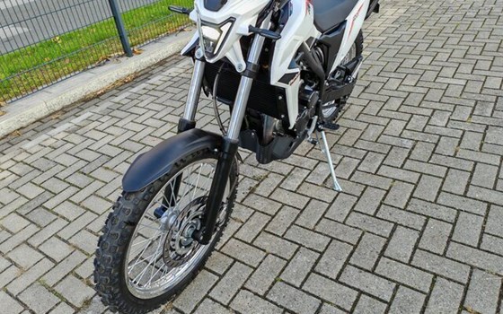 Neufahrzeug Beta Alp 4.0 - Bild 2