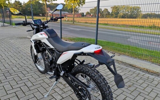 Neufahrzeug Beta Alp 4.0 - Bild 4