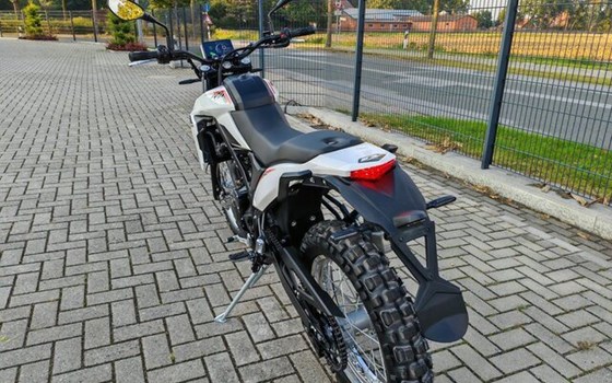 Neufahrzeug Beta Alp 4.0 - Bild 5