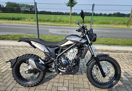 Neumotorrad Beta Alp X