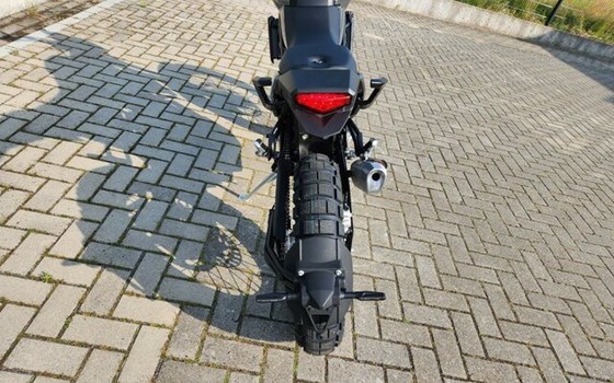 Neufahrzeug Beta Alp X - Bild 13