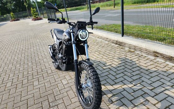 Neufahrzeug Beta Alp X - Bild 5