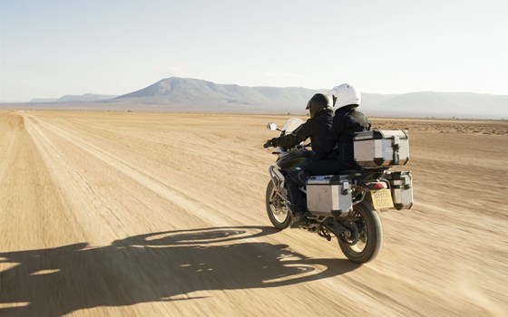 Neufahrzeug Triumph Tiger 900 Rally Pro - Bild 10