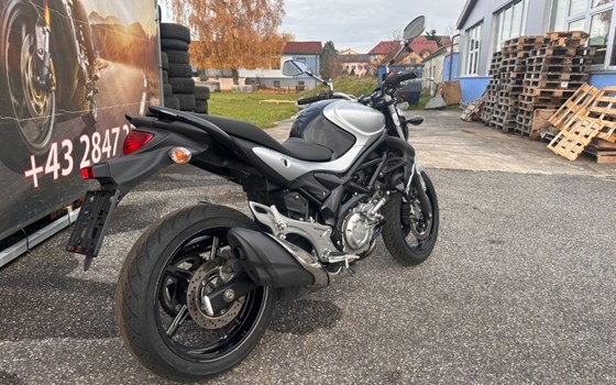 Gebrauchtmotorrad Suzuki SFV 650 Gladius - Bild 4