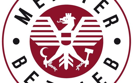 Gebrauchtmotorrad Kawasaki Ninja 1100SX SE - Bild 5