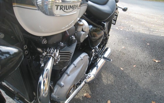 Gebrauchtmotorrad Triumph Bonneville Speedmaster - Bild 13