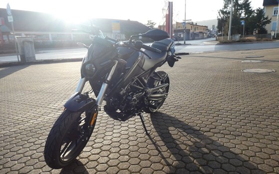 Neufahrzeug Voge R125 - Bild 7