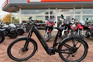 Angebot Raymon Tarok Pro