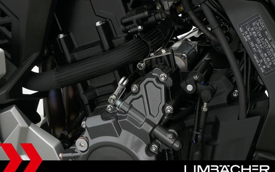 Neufahrzeug Suzuki GSX-8R - Bild 13