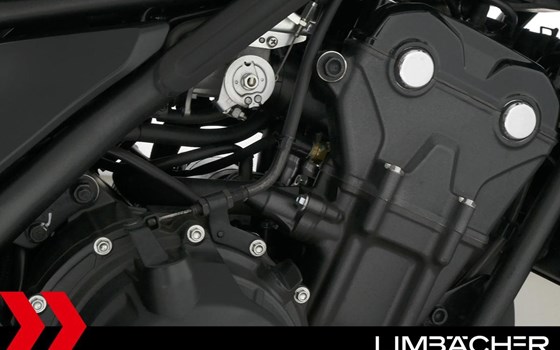 Gebrauchtmotorrad Honda CMX500 Rebel - Bild 15