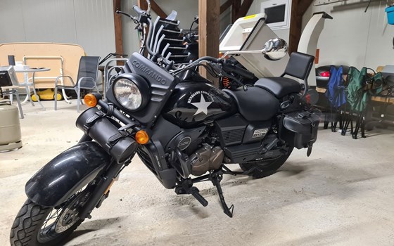 Gebrauchtmotorrad United Motors UM Renegade Commando 125 - Bild 2