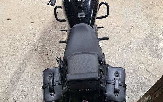 Gebrauchtmotorrad United Motors UM Renegade Commando 125 - Bild 3