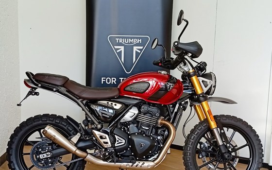 Gebrauchtmotorrad Triumph Scrambler 400 X - Bild 3