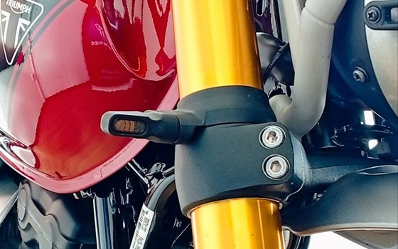 Gebrauchtmotorrad Triumph Scrambler 400 X - Bild 4