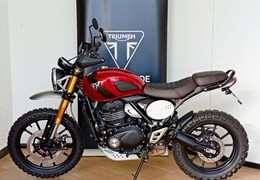 Gebrauchte Triumph Scrambler 400 X