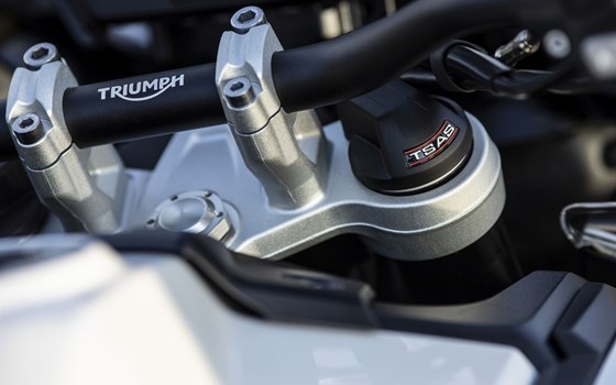 Gebrauchtmotorrad Triumph Tiger 1200 Alpine Edition - Bild 11