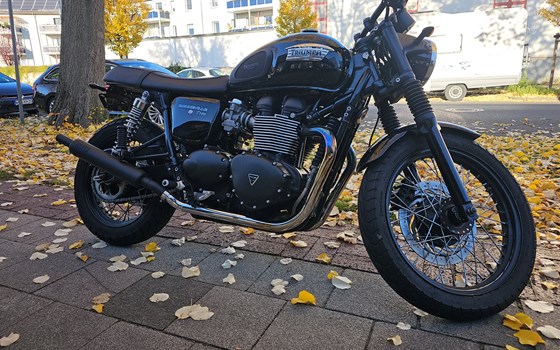 Gebrauchtmotorrad Triumph Bonneville T100 - Bild 4