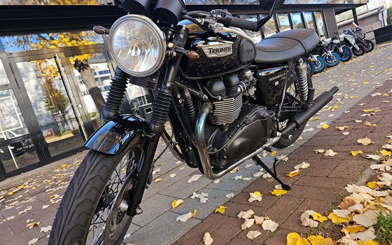 Gebrauchtmotorrad Triumph Bonneville T100 - Bild 1