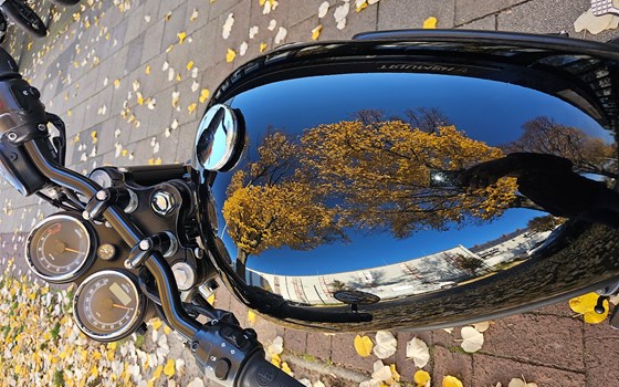 Gebrauchtmotorrad Triumph Bonneville T100 - Bild 8