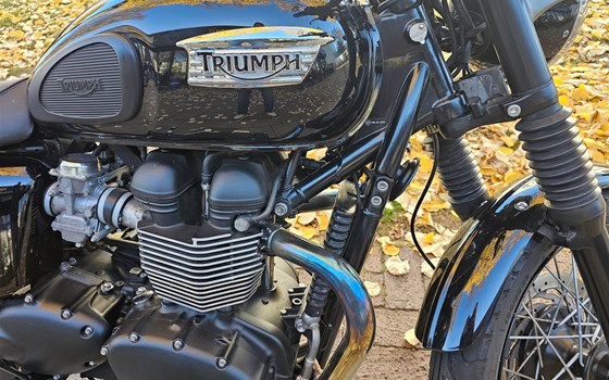 Gebrauchtmotorrad Triumph Bonneville T100 - Bild 11
