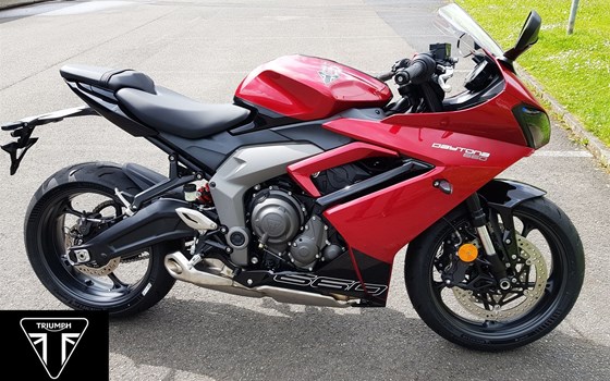 Neufahrzeug Triumph Daytona 660 - Bild 1
