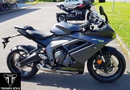 Neumotorrad Triumph Daytona 660