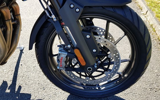 Neufahrzeug Triumph Tiger 1200 GT PRO - Bild 8