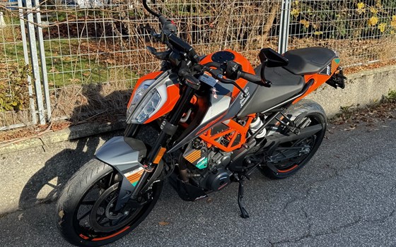 Gebrauchtmotorrad KTM 390 Duke - Bild 2