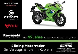 Neumotorrad Kawasaki Ninja 125
