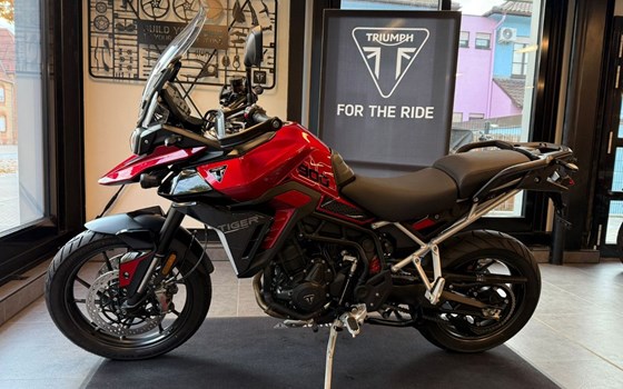 Neufahrzeug Triumph Tiger 900 GT Pro - Bild 1