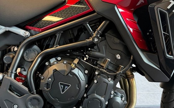 Neufahrzeug Triumph Tiger 900 GT Pro - Bild 3