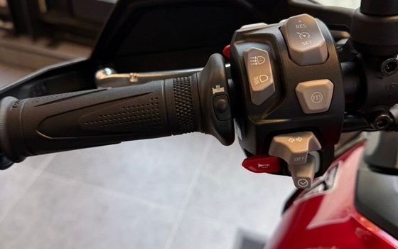 Neufahrzeug Triumph Tiger 900 GT Pro - Bild 5