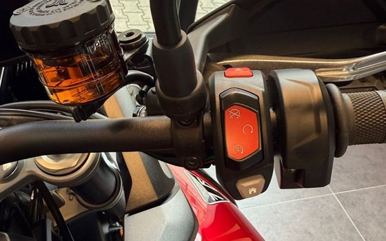 Neufahrzeug Triumph Tiger 900 GT Pro - Bild 7