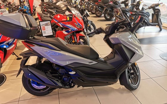 Neufahrzeug Honda Forza 350 - Bild 2