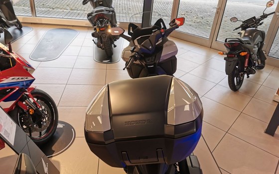 Gebrauchtmotorrad Honda Forza 350 - Bild 3