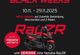 Neumotorrad Vespa Primavera 125 Officina 8