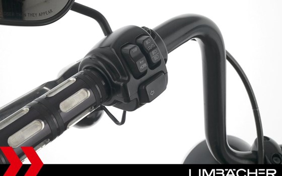 Gebrauchtmotorrad Harley-Davidson Softail Fat Boy FLFB - Bild 21