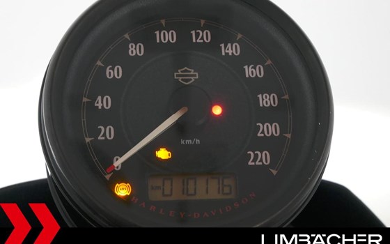 Gebrauchtmotorrad Harley-Davidson Sportster XL 1200NS Iron - Bild 12
