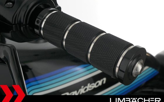 Gebrauchtmotorrad Harley-Davidson Sportster XL 1200NS Iron - Bild 13