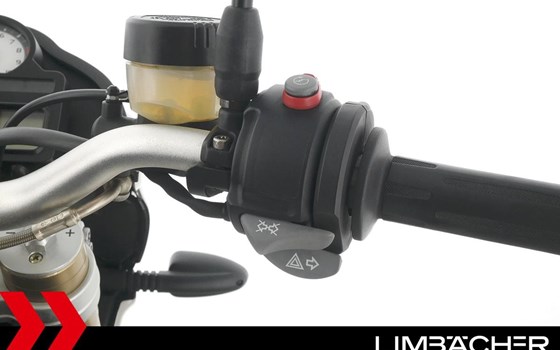 Gebrauchtmotorrad BMW HP2 Megamoto - Bild 22