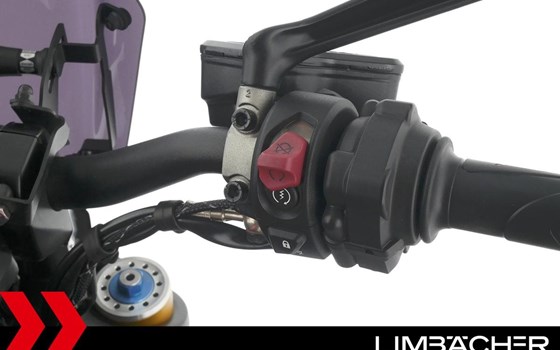 Gebrauchtmotorrad Ducati Diavel 1260 S - Bild 23