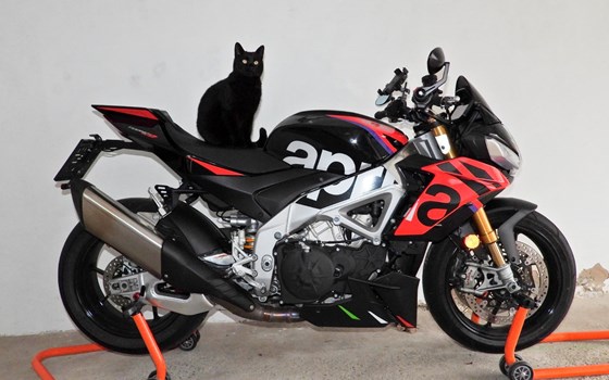 Gebrauchtmotorrad Aprilia Tuono V4 1100 Factory - Bild 3